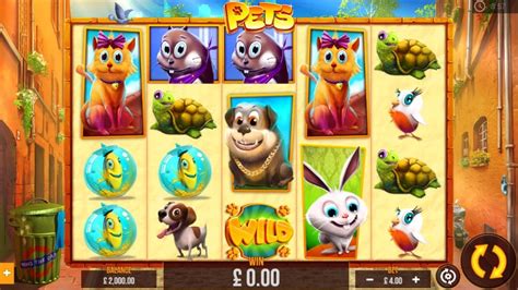 ᐈ Игровой Автомат Pet Slots  Играть Онлайн Бесплатно No Name Slots